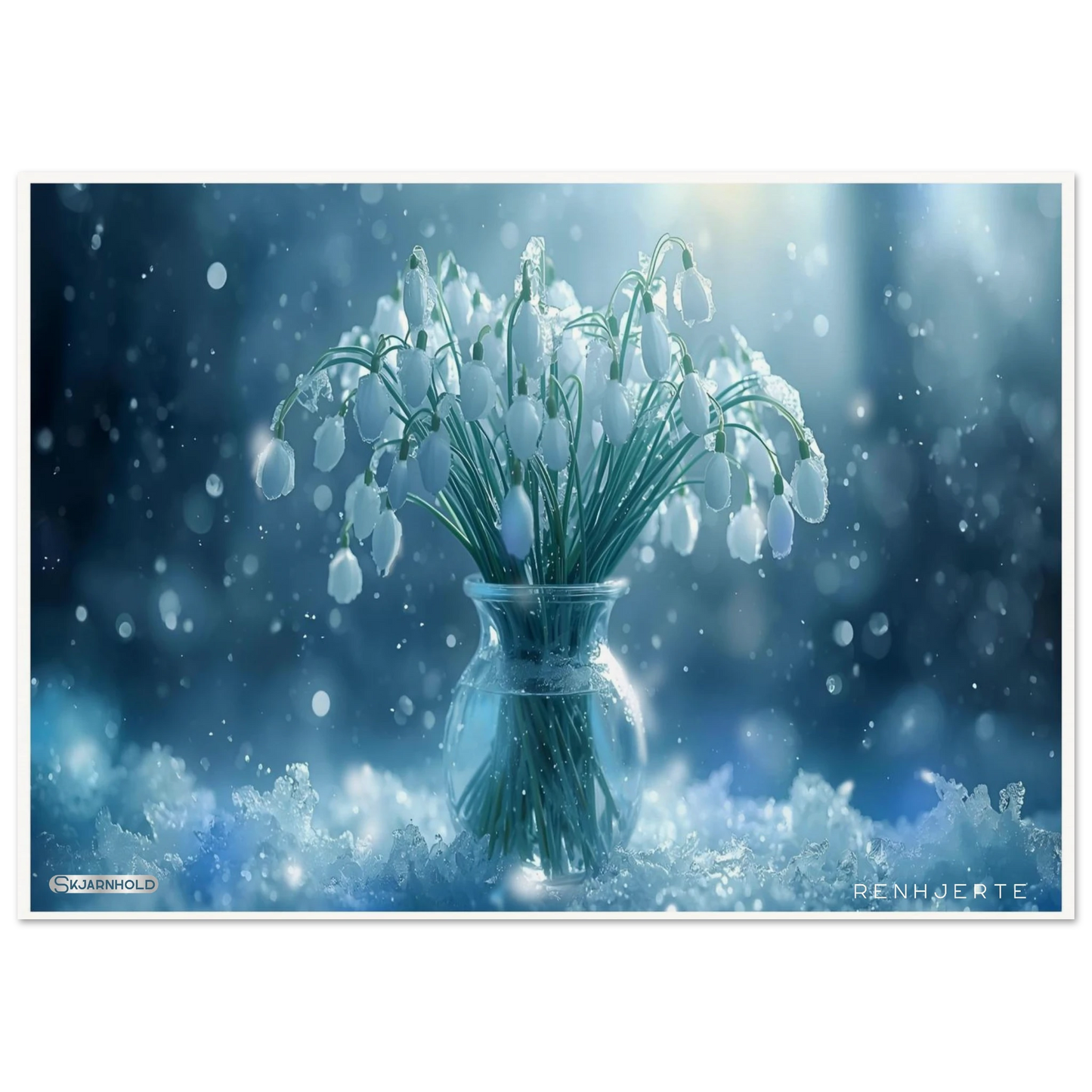 6c5eb076-8f43-4dee-8626-09befeb5e6cd